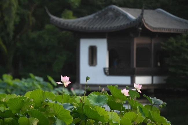 華邦瀛集團二十四節(jié)氣特輯